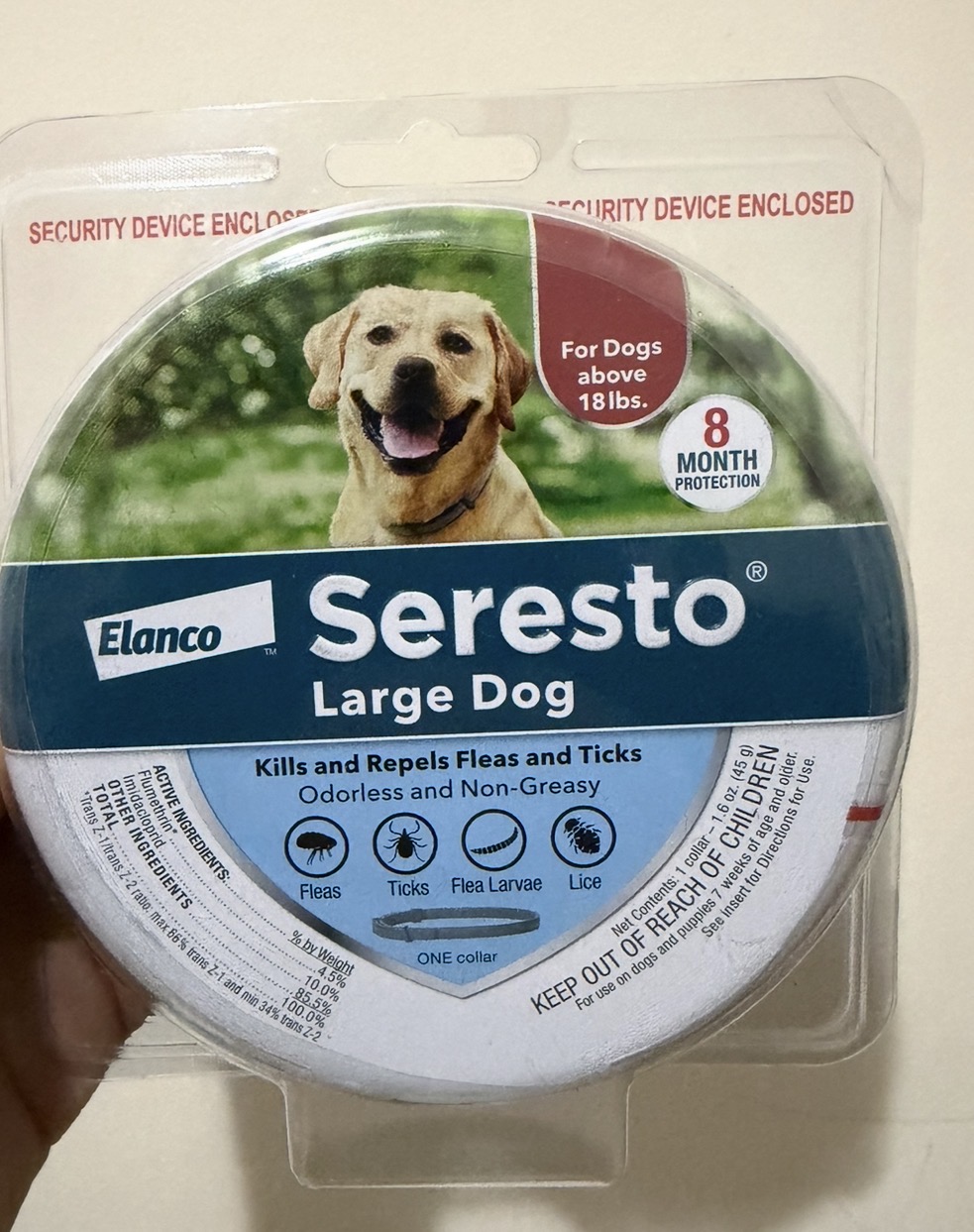 Large Dogs